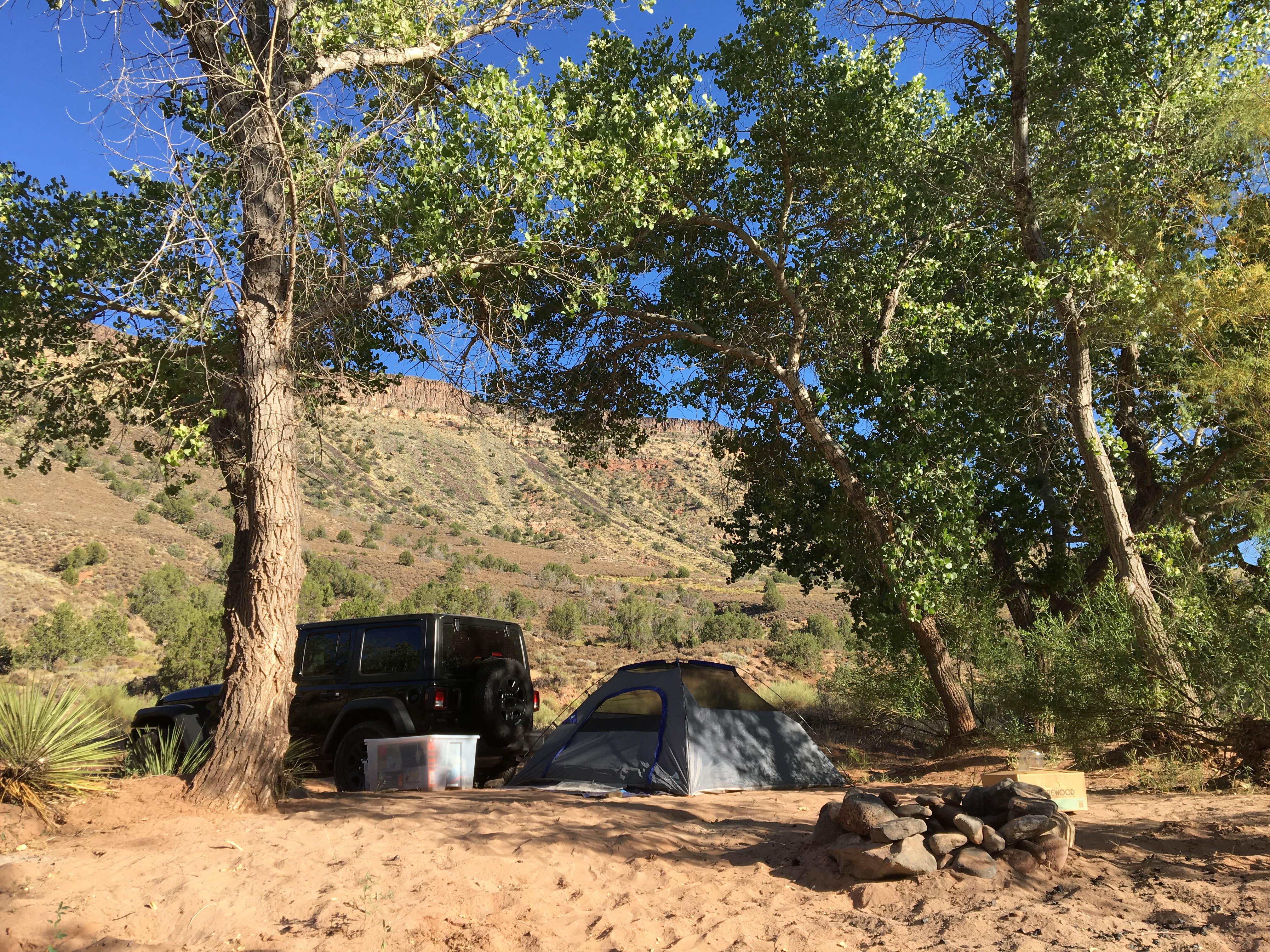 Matt N.'s photo of a dispersed camping area at Kolob Terrace Road Dispersed near Ivins, UT
