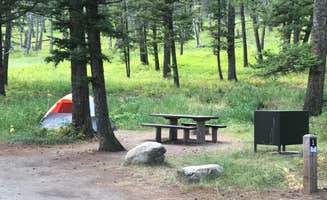 Crystal C.'s photo at Cabin Creek Campground in Montana