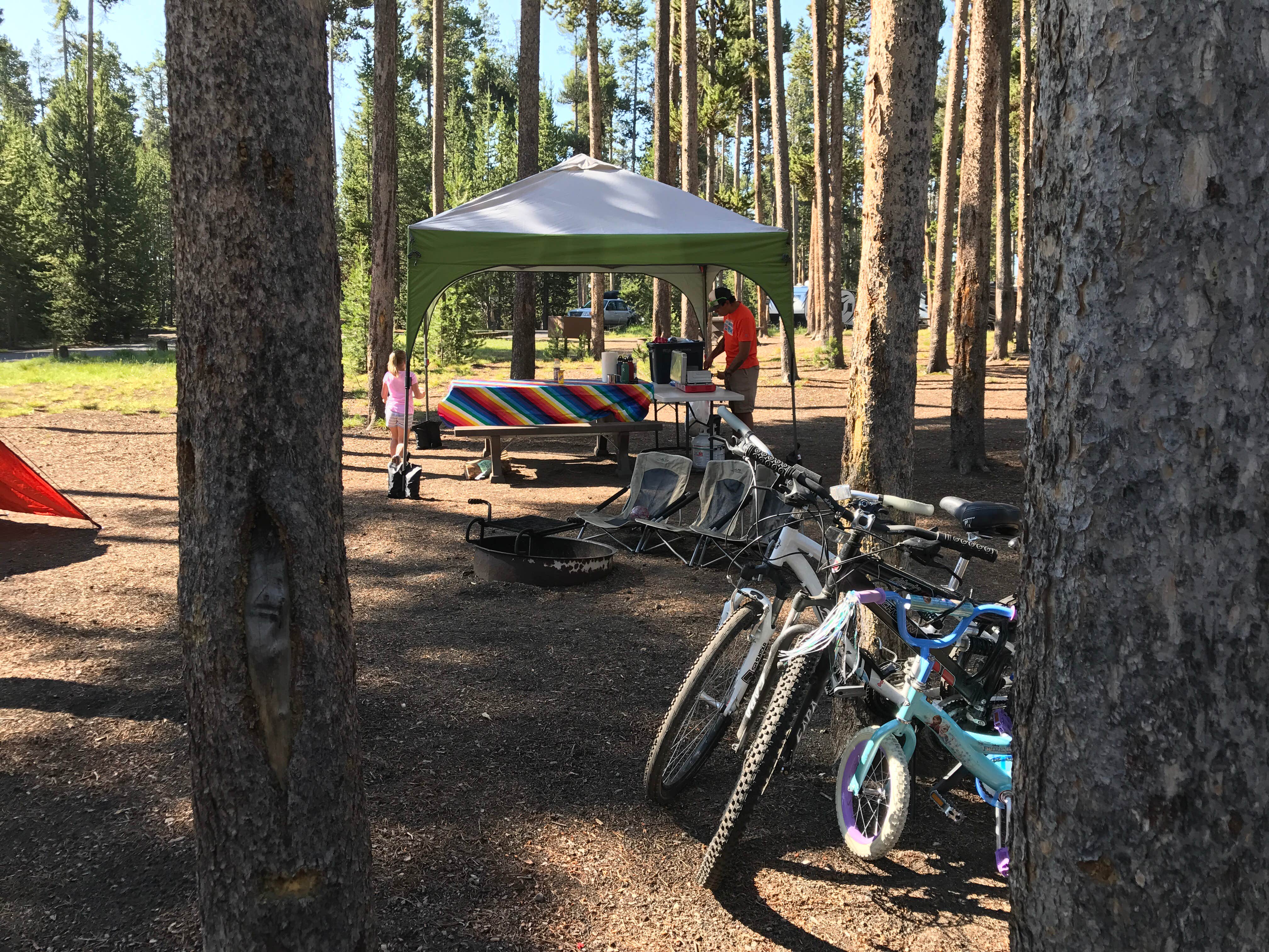 Camper submitted image from Grant Village Campground — Yellowstone National Park - 3