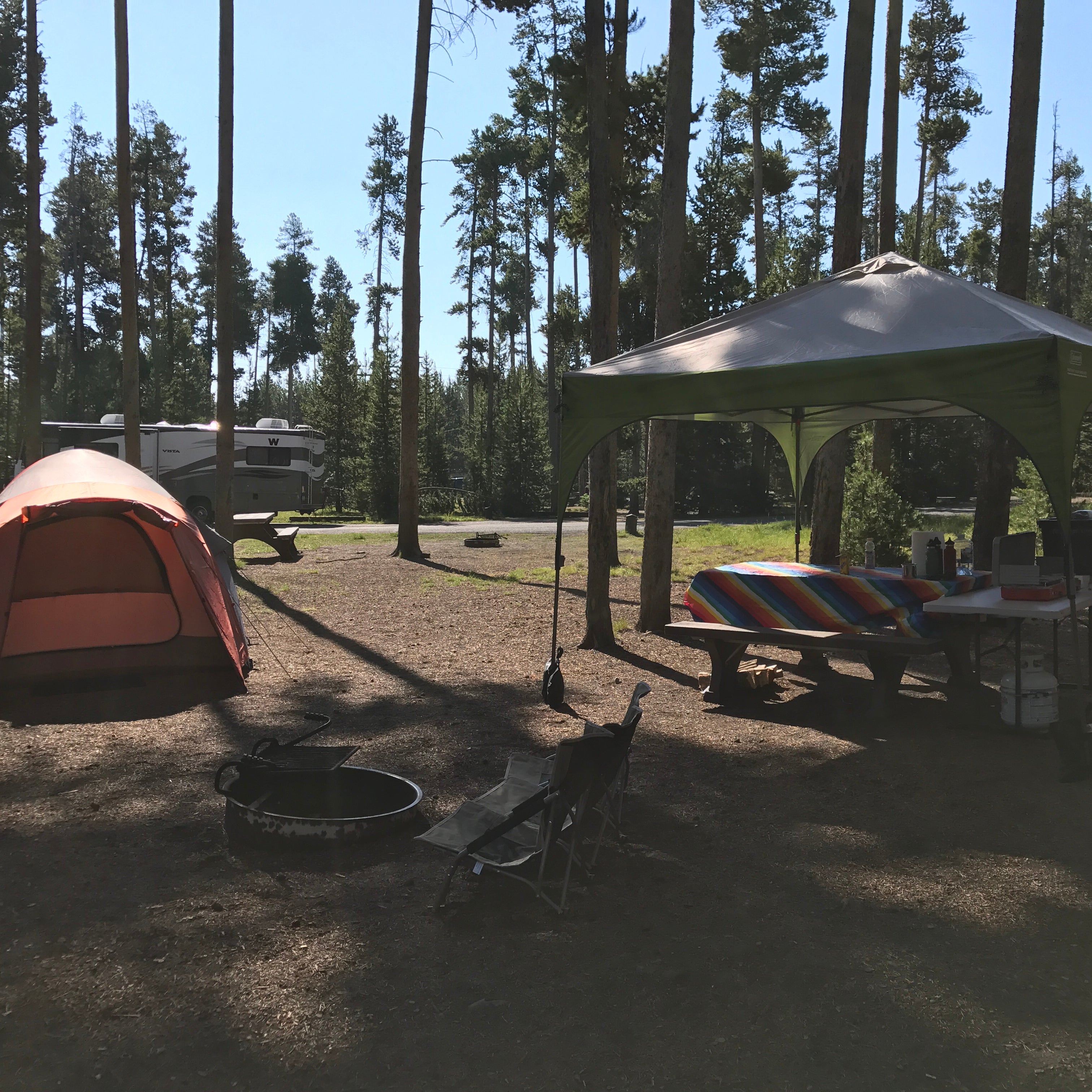 eeuwig elke dag produceren Grant Village - Yellowstone National Park Camping | The Dyrt