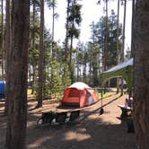 Review photo of Grant Village Campground — Yellowstone National Park by Kathy M., August 5, 2017