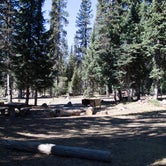 Review photo of Mazama Village Campground — Crater Lake National Park by Lisa H., June 28, 2016
