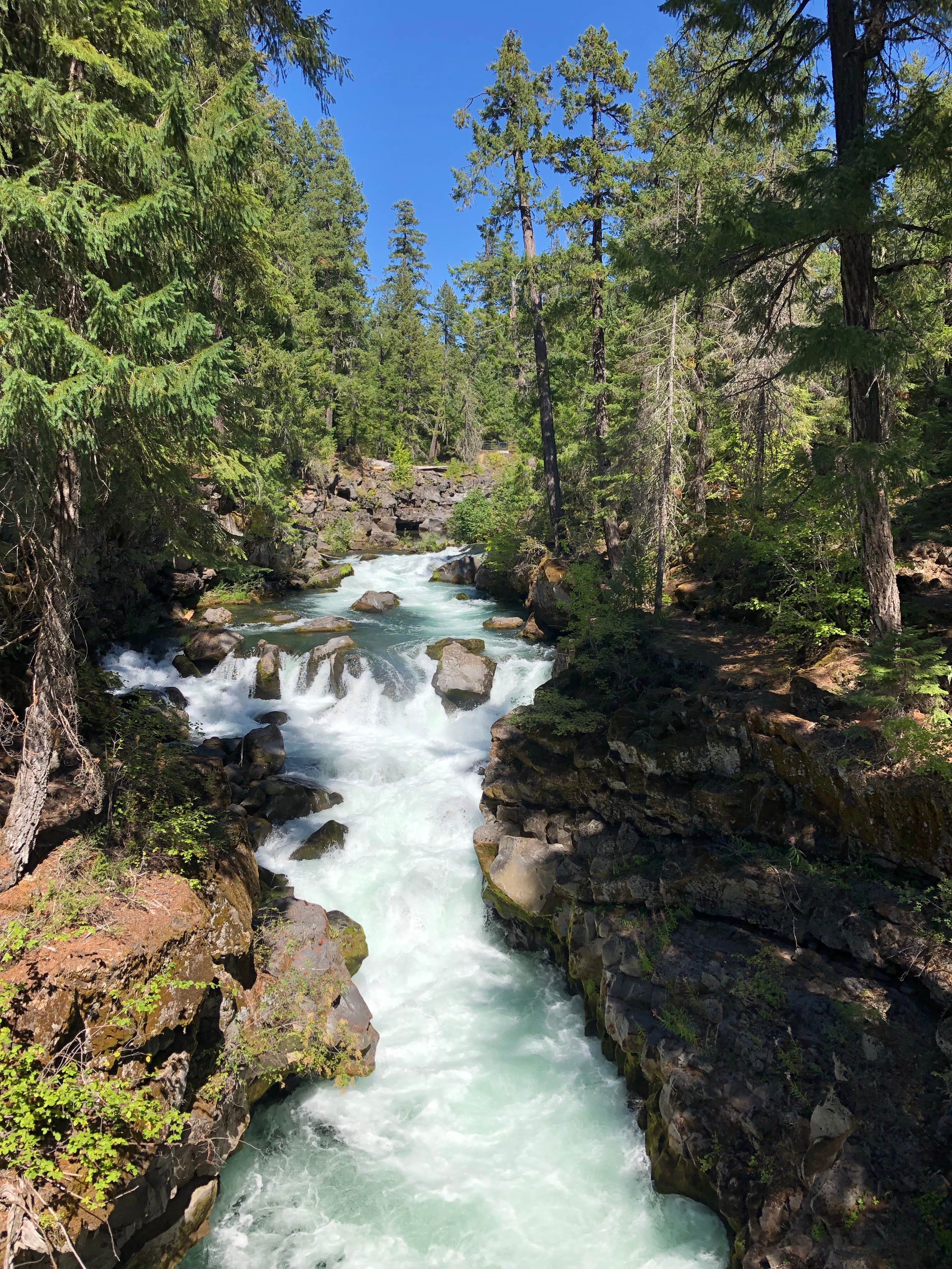 Camper-submitted photo at Natural Bridge Campground near Prospect, OR