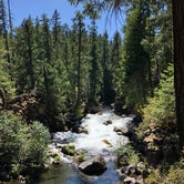 Review photo of Natural Bridge Campground by Dani F., September 5, 2019