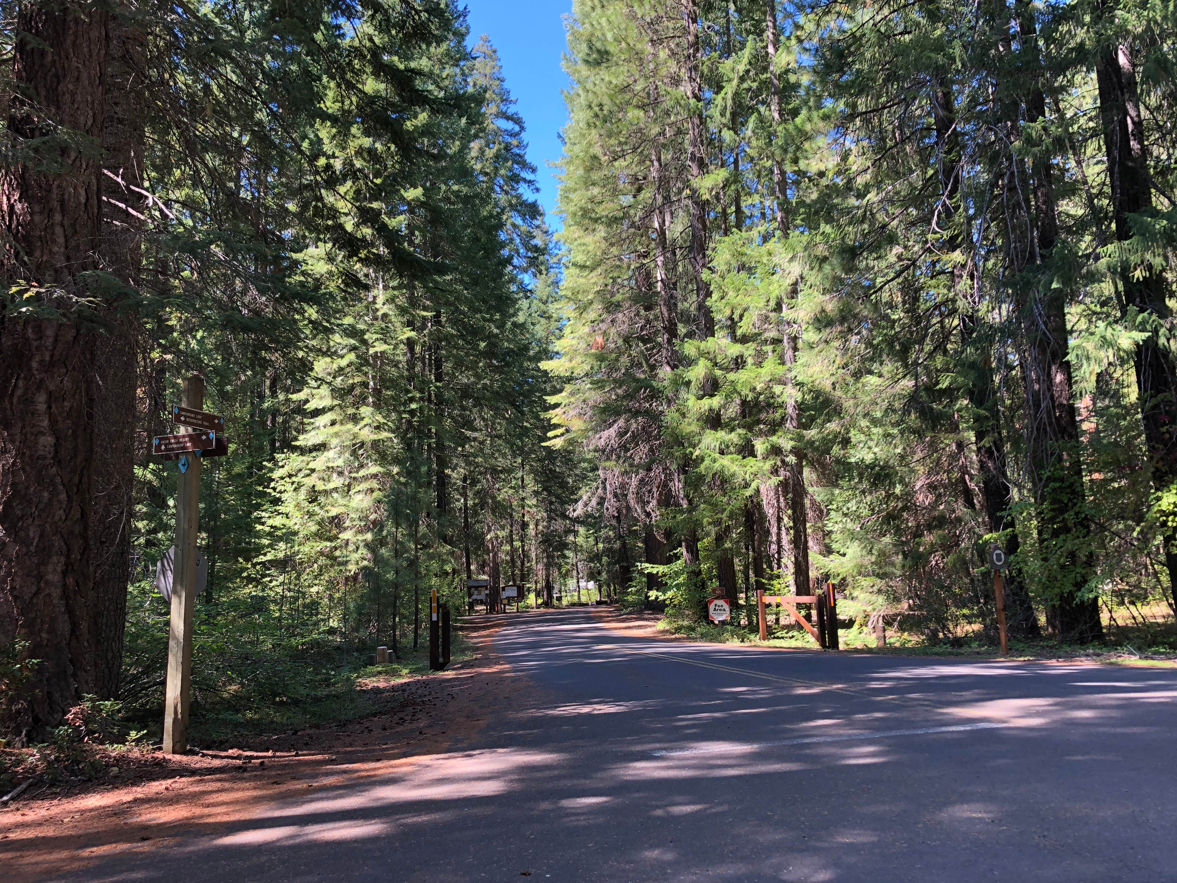 Camper-submitted photo at Natural Bridge Campground near Prospect, OR