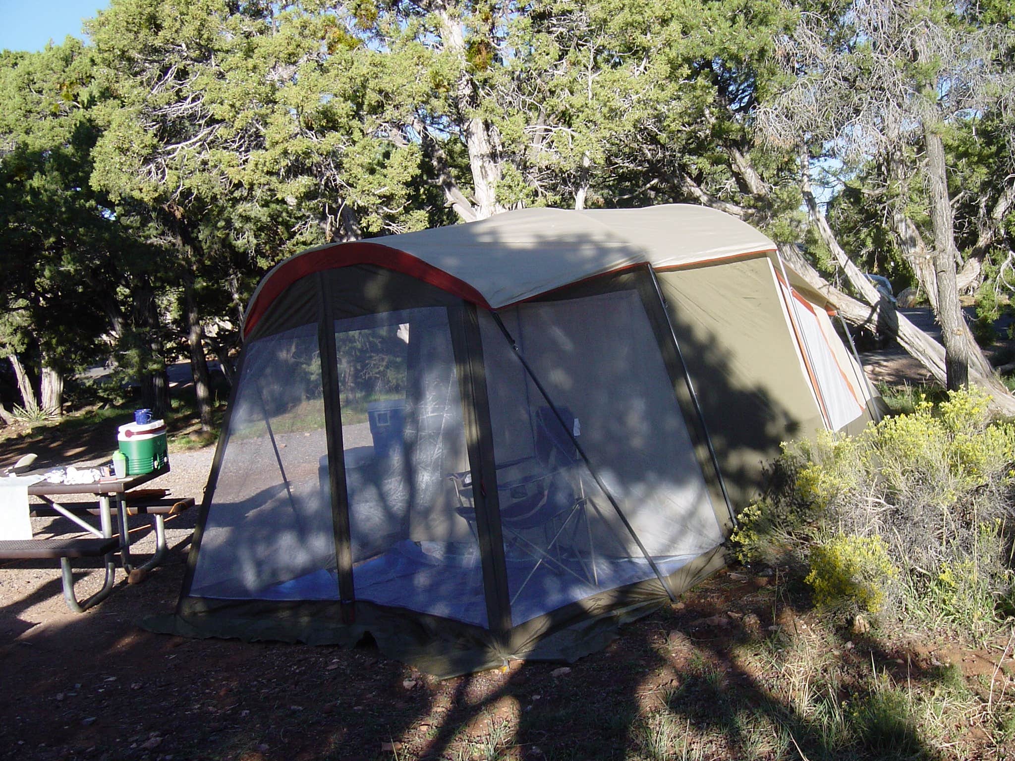 Henry H.'s photo at Azalea Campground — Kings Canyon National Park near Badger, CA