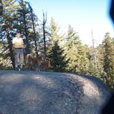 Review photo of Azalea Campground — Kings Canyon National Park by Henry H., September 5, 2019