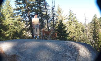 Henry H.'s photo of camping with pets at Azalea Campground β Kings Canyon National Park near Sequoia and Kings Canyon National Parks