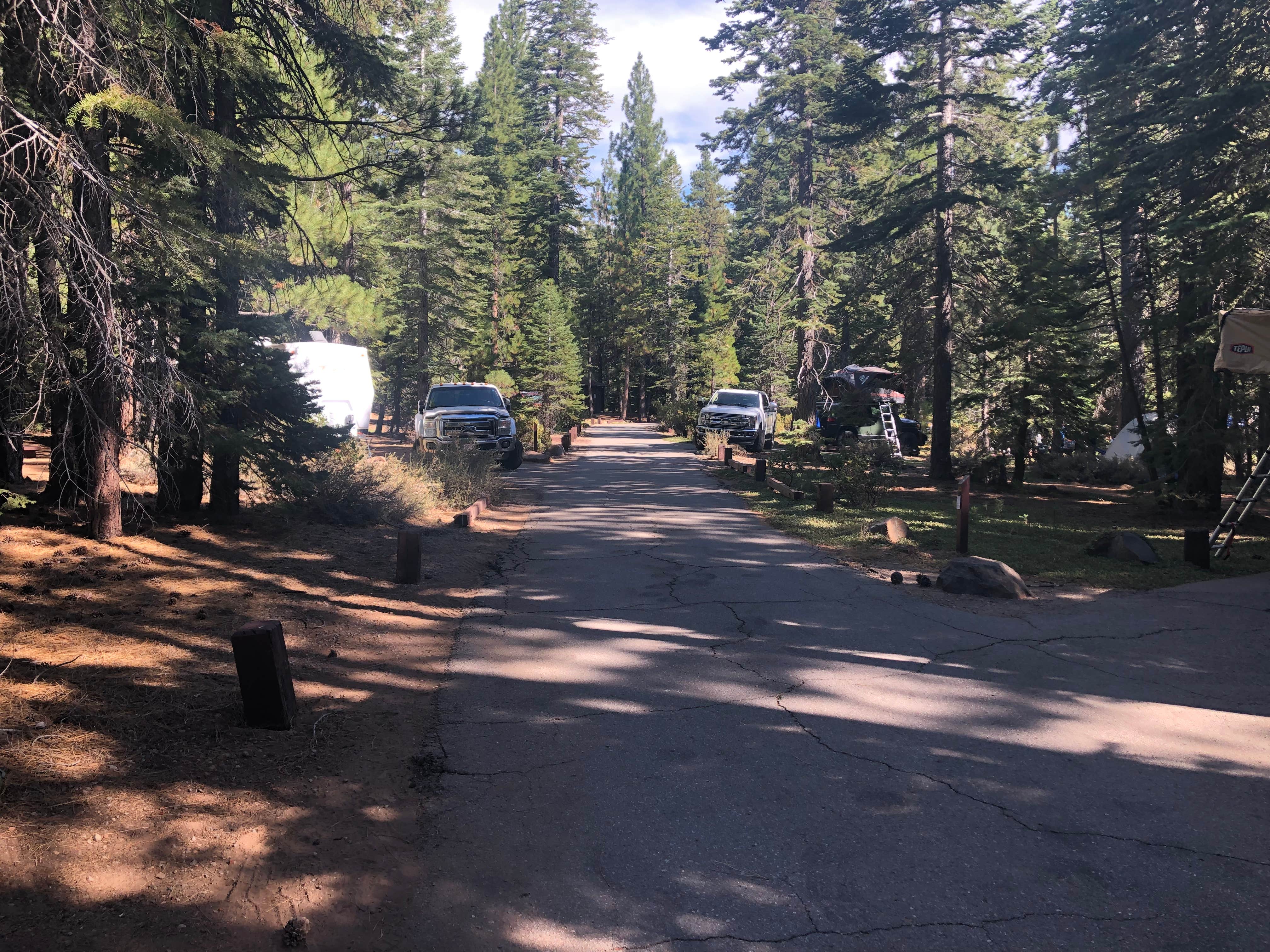 Camper submitted image from Cottonwood Campground - 4