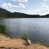 Review photo of Blue Bell Campground — Custer State Park by Kathy M., August 5, 2017