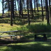 Review photo of Elk Mountain Campground — Wind Cave National Park by Crystal C., September 5, 2019