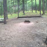 Review photo of Blue Bell Campground — Custer State Park by Kathy M., August 5, 2017