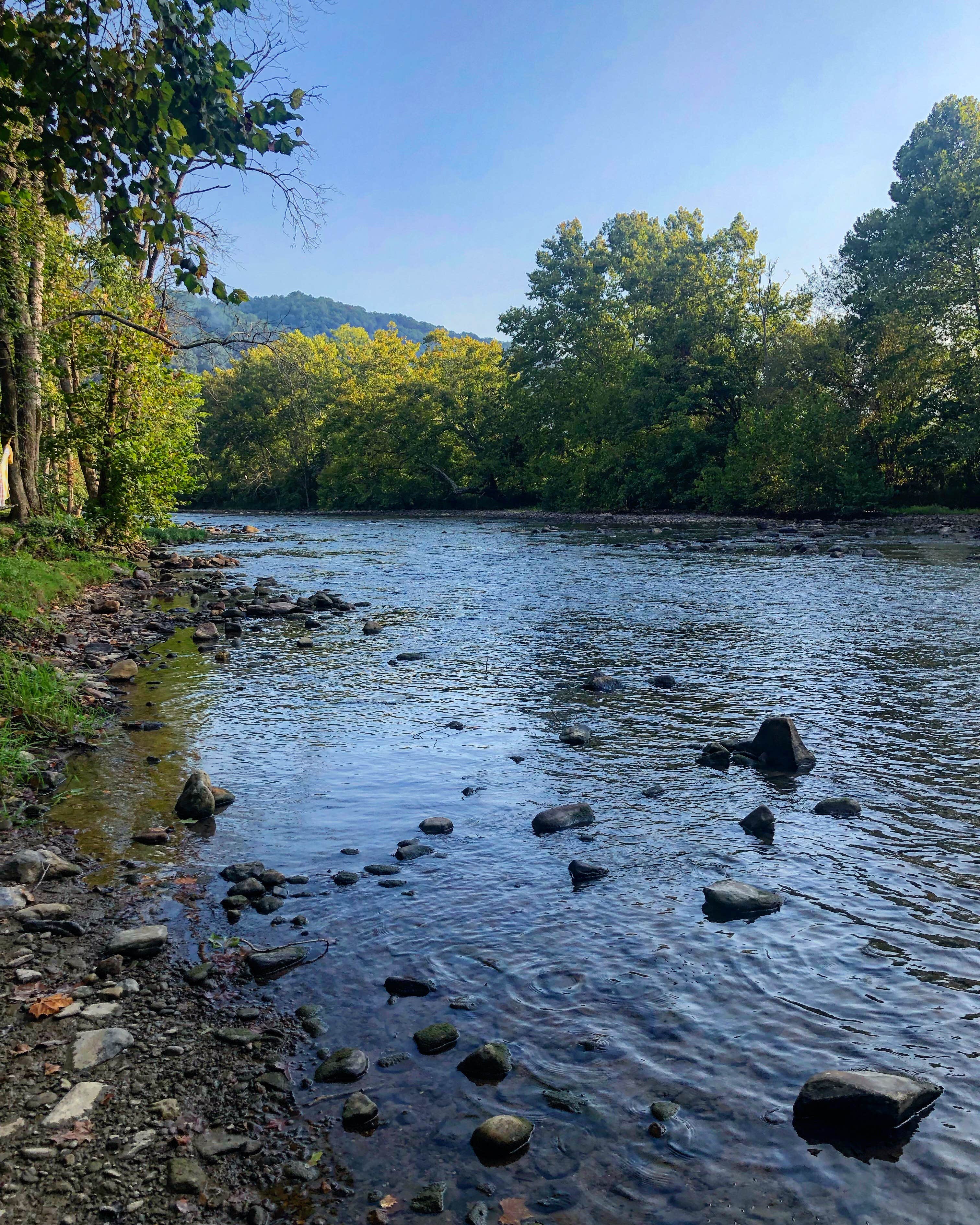 Camper-submitted photo at Riverside Campground near Bristol, VA