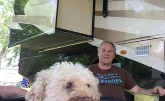 Lisa D.'s photo of camping with pets at Yogi Bear's Jellystone Park -Beavertrails Camp-Resort near Byron, MN