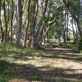 Review photo of Bacon Park Campground by Angela S., September 5, 2019