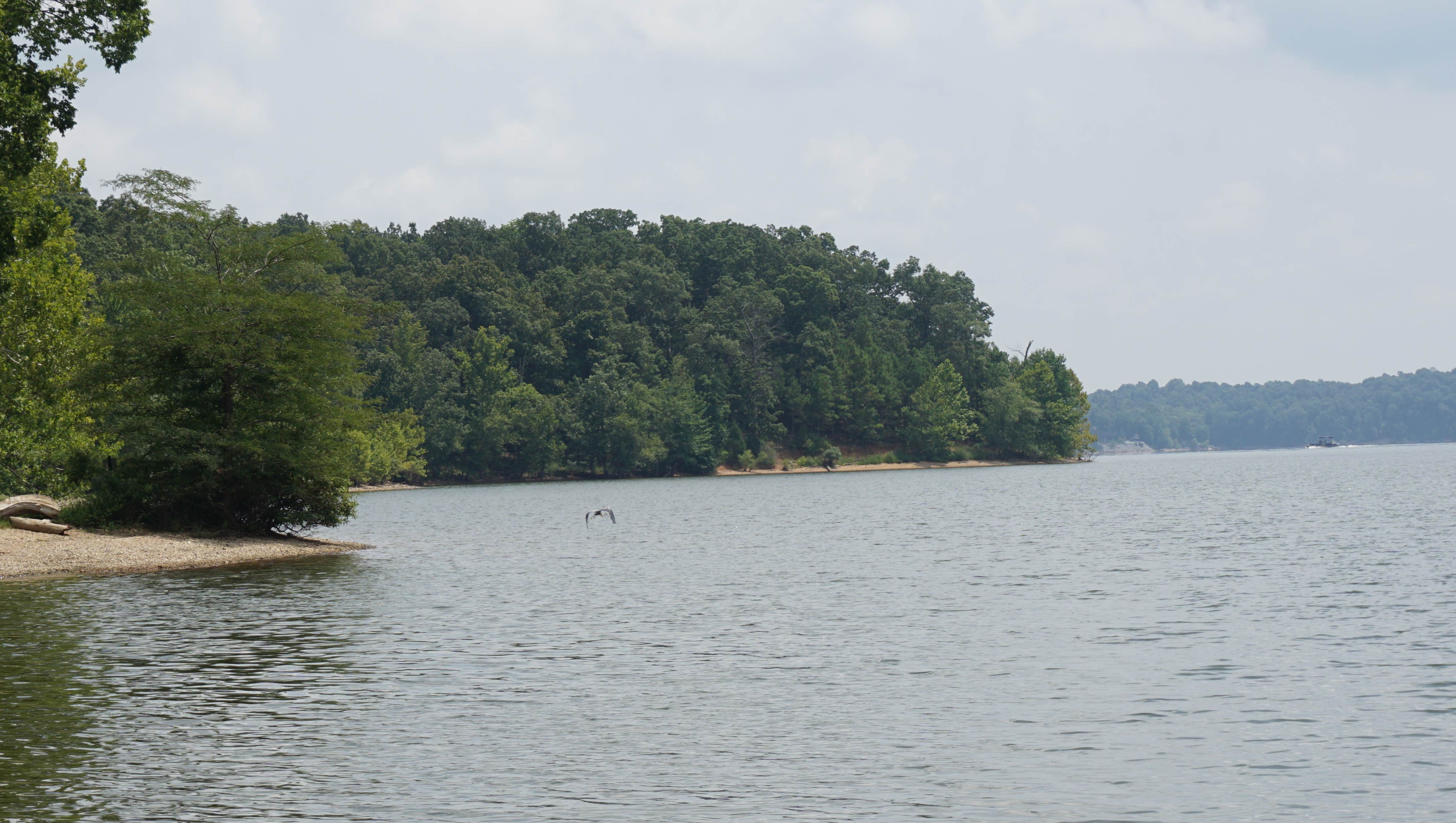 Camper submitted image from Cravens Bay - LBL Lake Access - 3