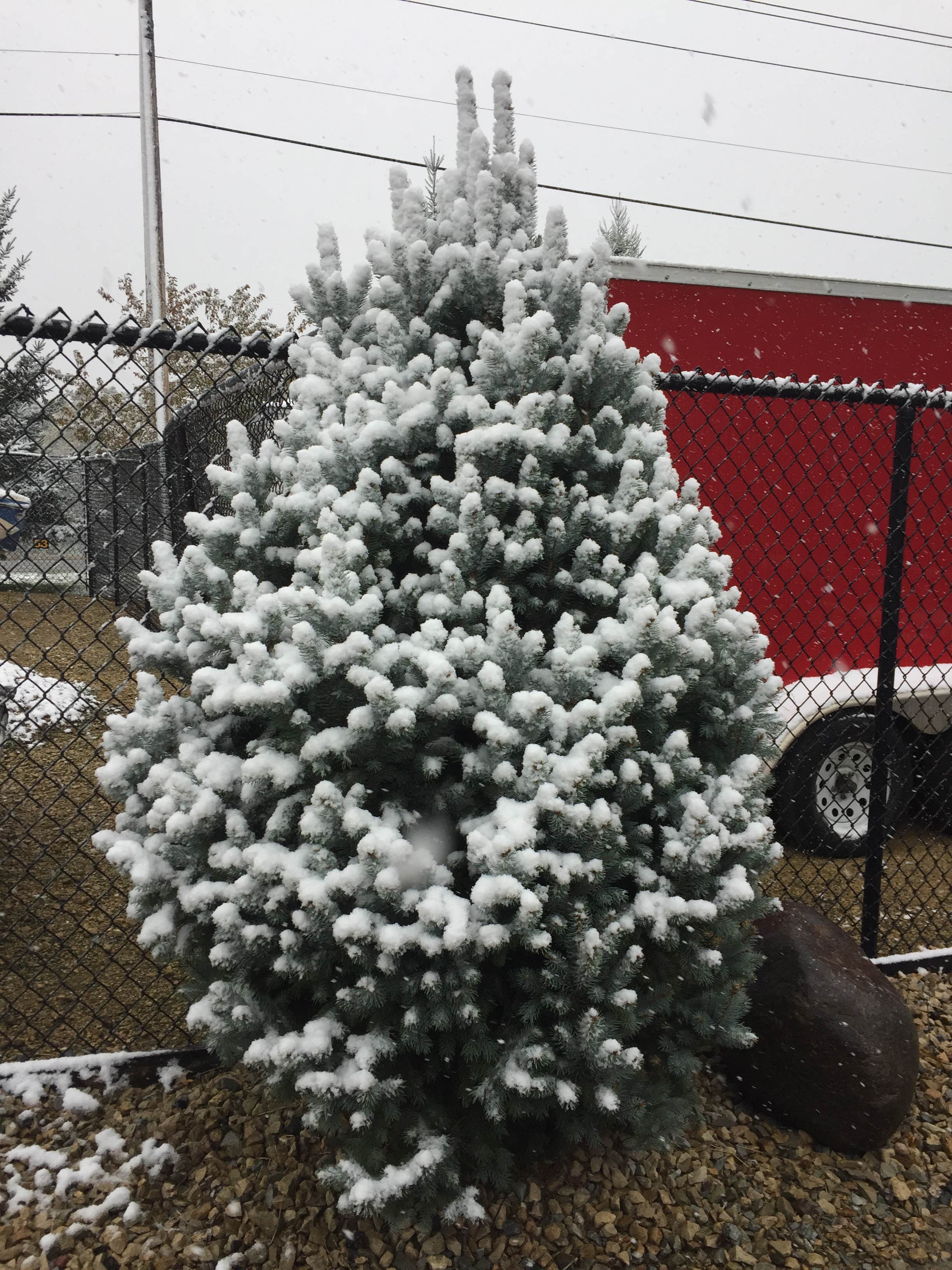 Camper-submitted photo at Haycreek Valley Campground near Elmwood, WI