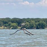 Review photo of Fort Parker State Park Campground by Paige M., September 5, 2019