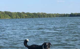 Paige M.'s photo of camping with pets at Fort Parker State Park Campground near Navarro Mills Lake