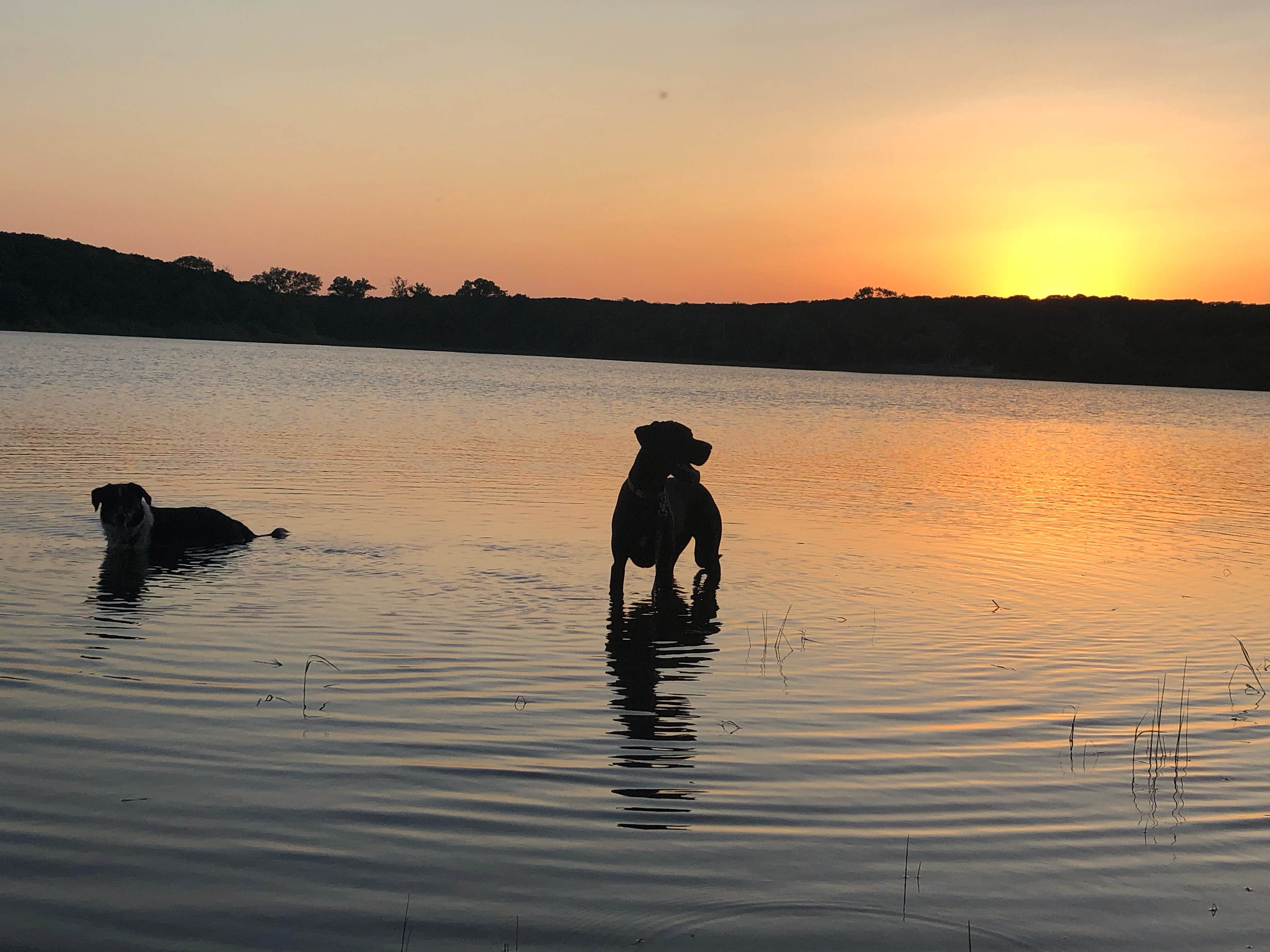 Paige M.'s photo of camping with pets at Meridian State Park Campground near Meridian, TX