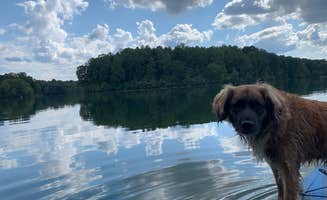 Shannon N.'s photo of camping with pets at Montgomery Bell State Park Campground near Pleasant View, TN