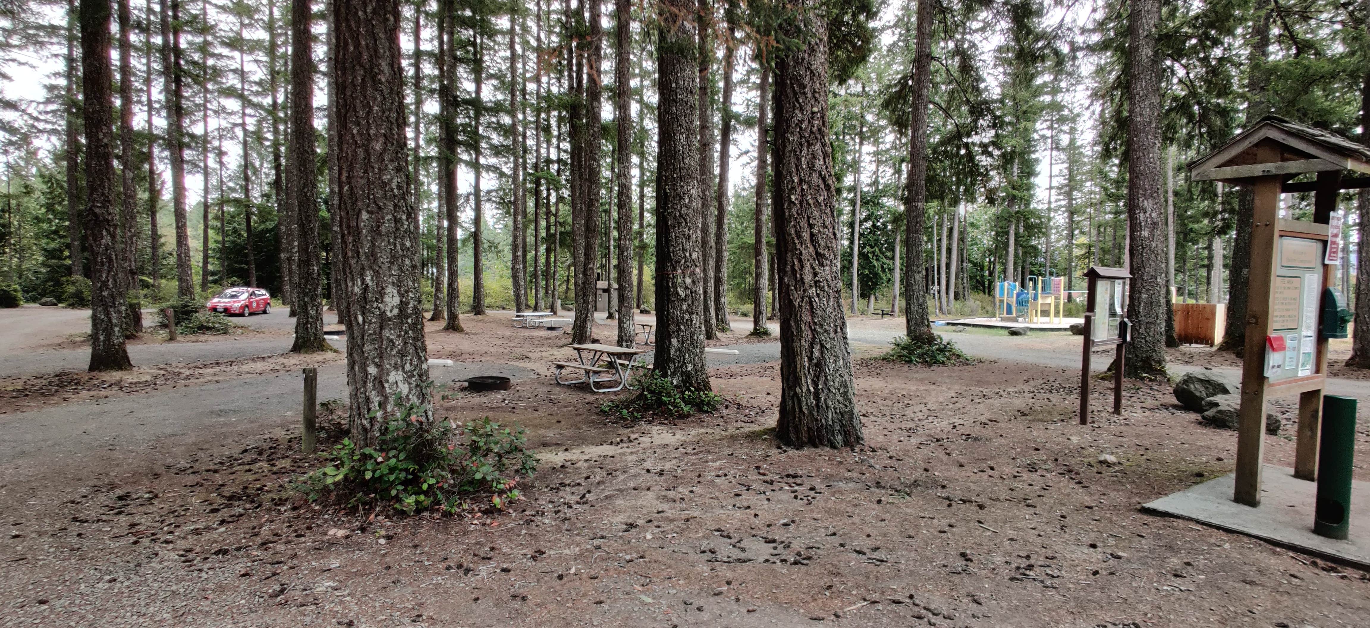 Camper submitted image from Quilcene Community Campground - 2