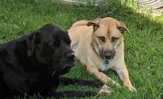 Bob H.'s photo of camping with pets at Sampson State Park Campground near Canandaigua, NY