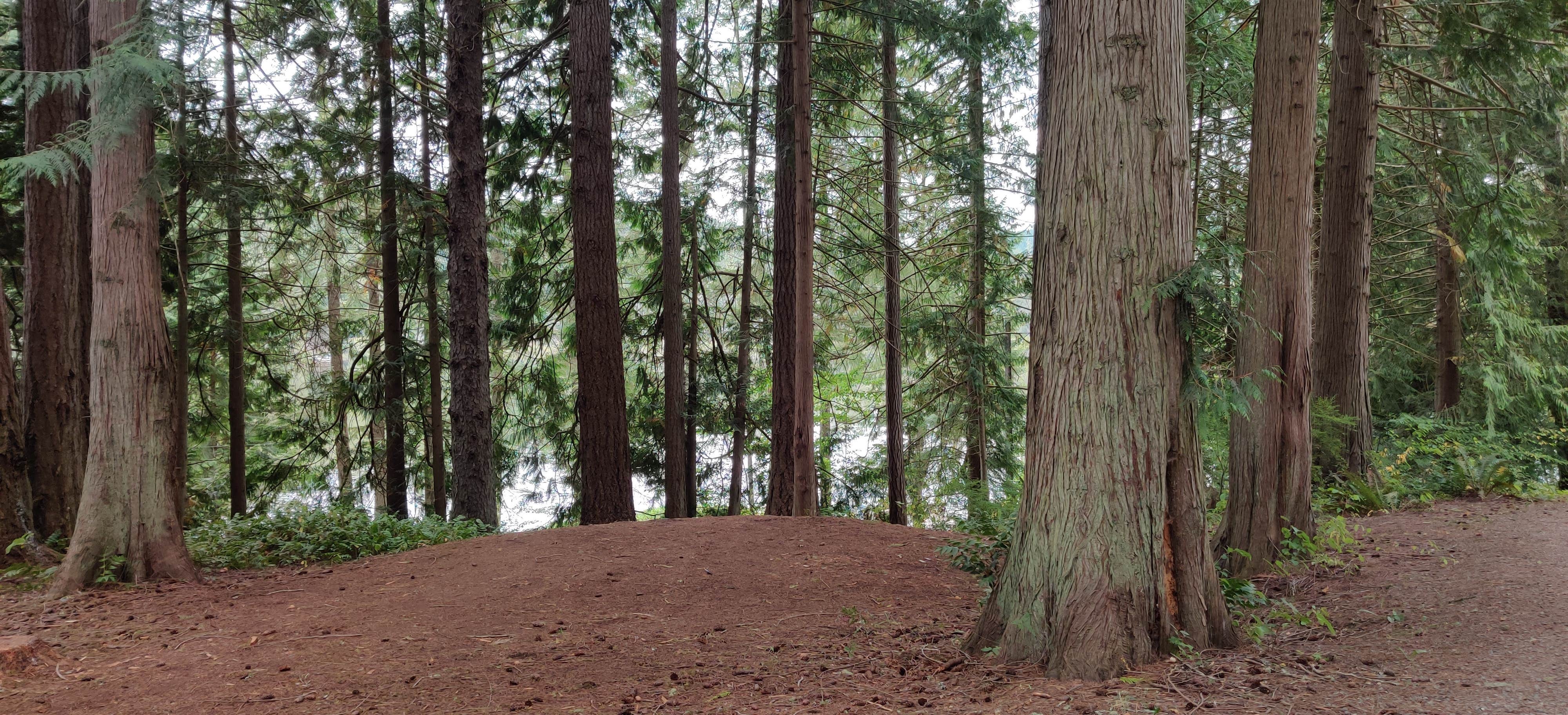 Camper-submitted photo at Lake Leland Campground near Poulsbo, WA