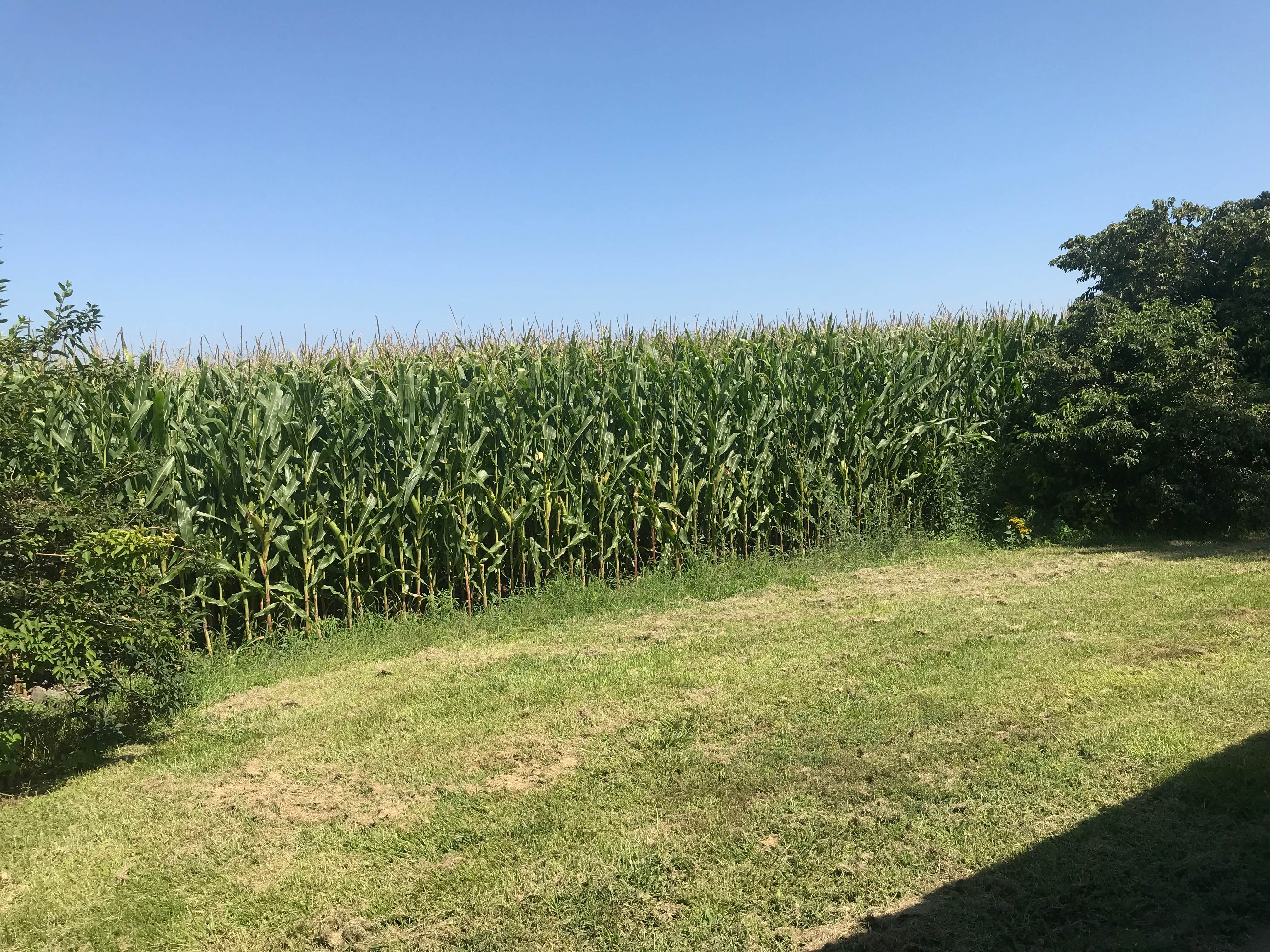Camper-submitted photo at War Axe State Rec Area near Kearney, NE