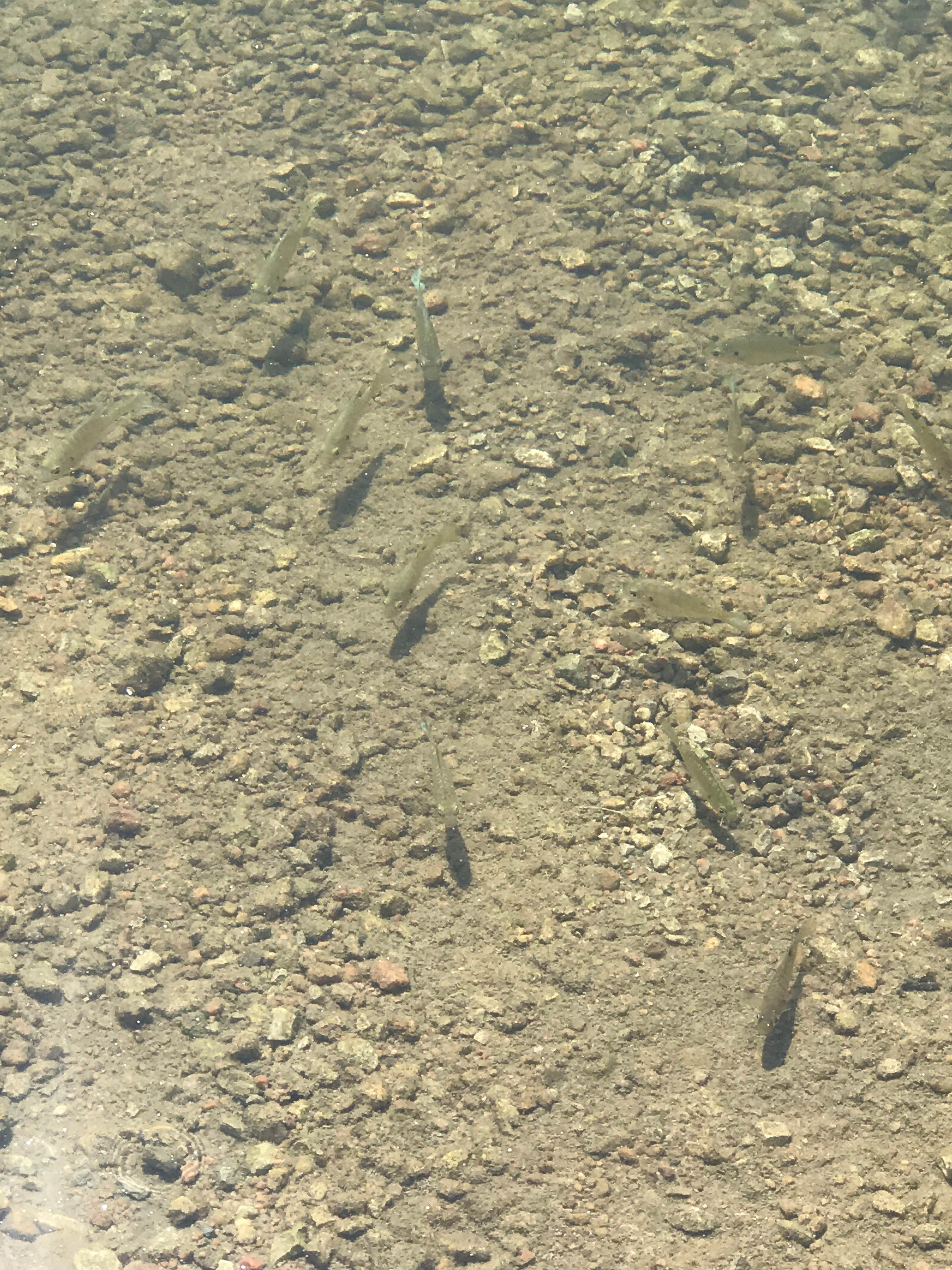 Camper-submitted photo at War Axe State Rec Area near Kearney, NE