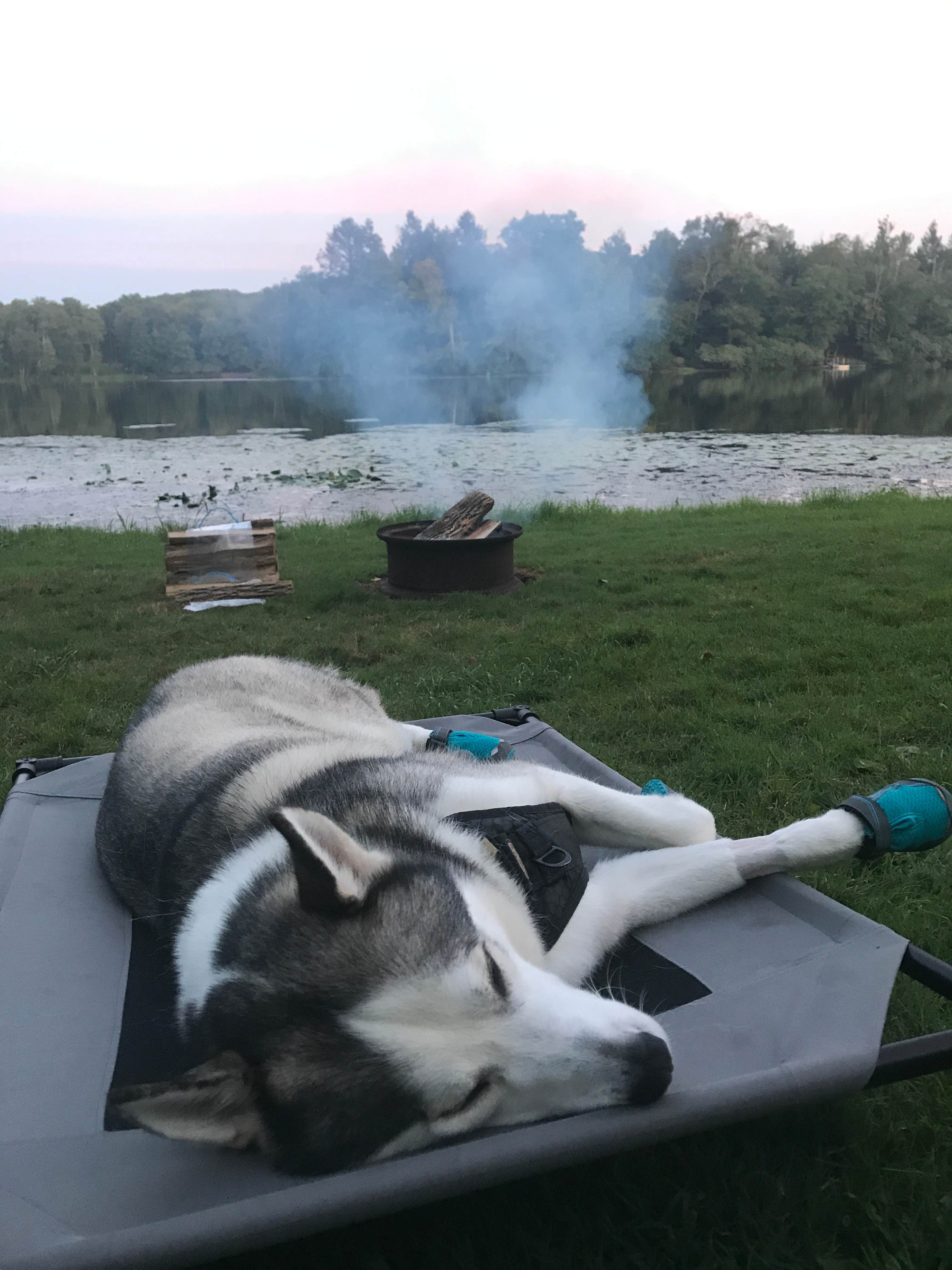 Camper-submitted photo at Keen Lake Resort Campground near Hawley, PA