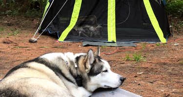 Medcalf Acres Riverfront Campground