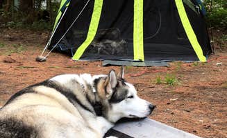 KatKatin G.'s photo of camping with pets at Medcalf Acres Riverfront Campground near Lake Placid, NY