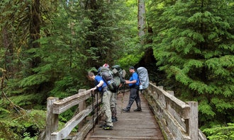 Camping near Lake Beauty — Olympic National Park: Pony Bridge — Olympic National Park, Olympic National Forest, Washington