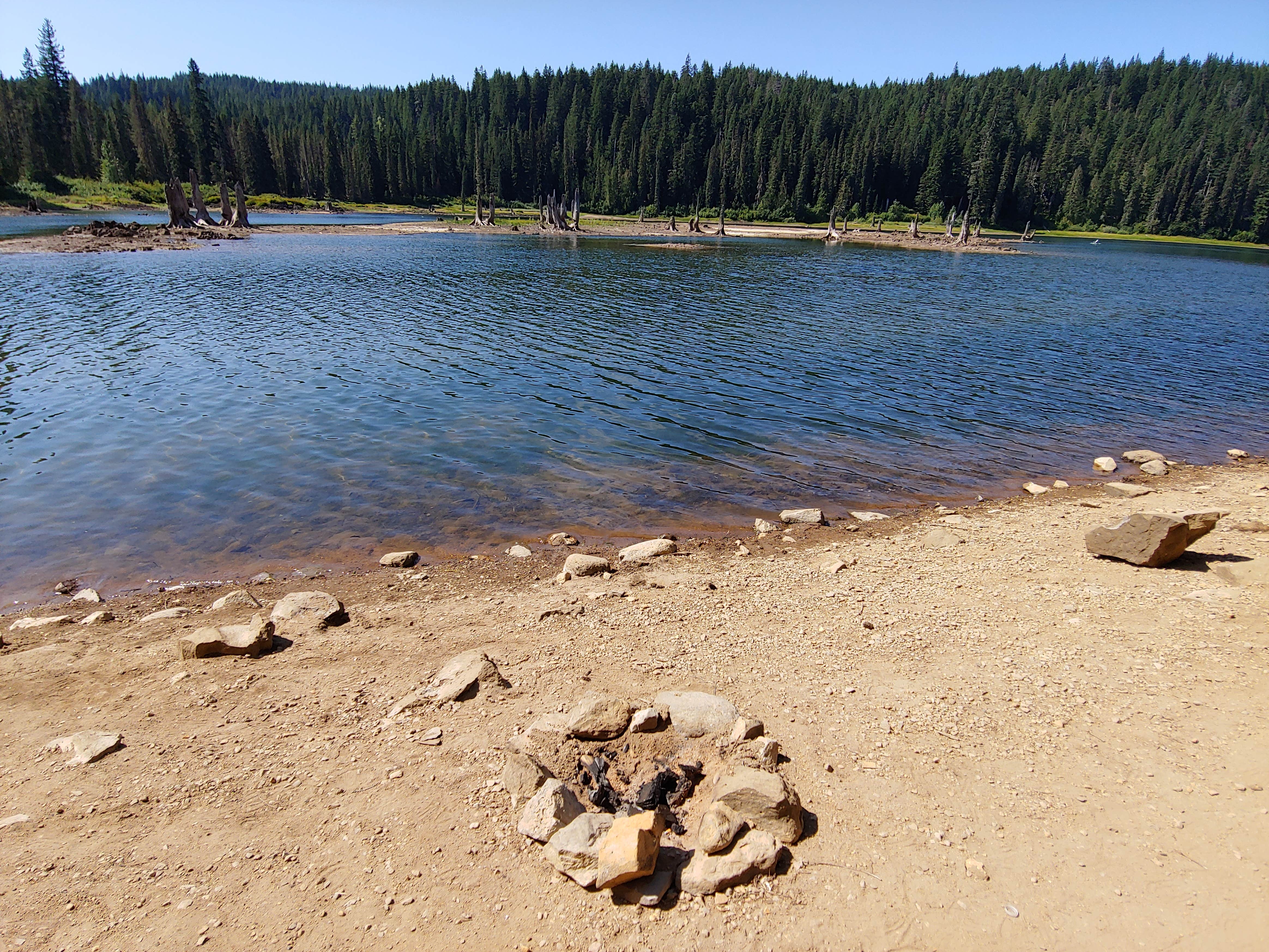 Camper-submitted photo at Goose Lake Campground near White Salmon, WA