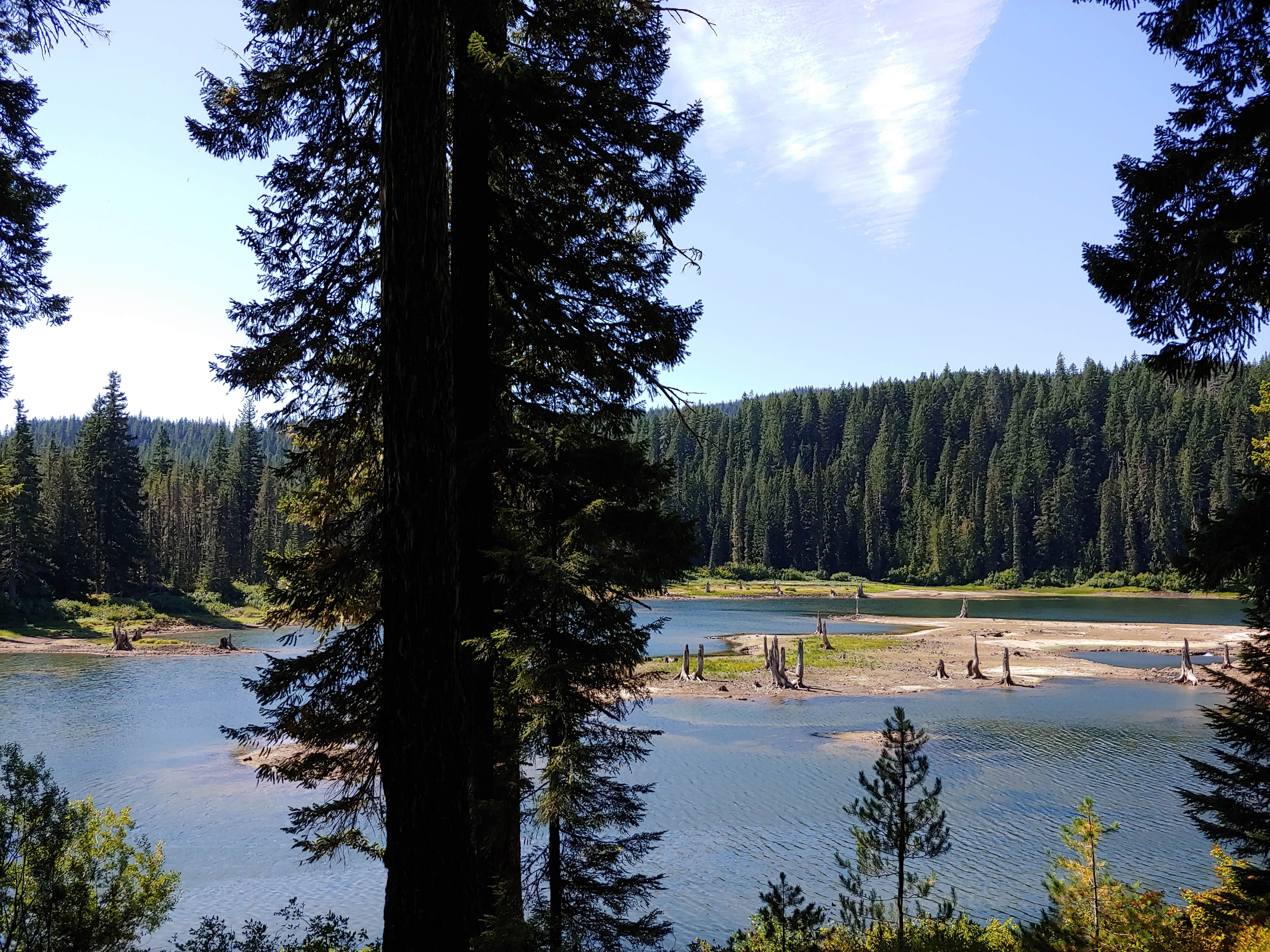 Camper-submitted photo at Goose Lake Campground near White Salmon, WA