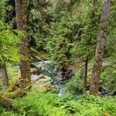 Review photo of O'Neil Creek Campground — Olympic National Park by Rich M., September 6, 2019