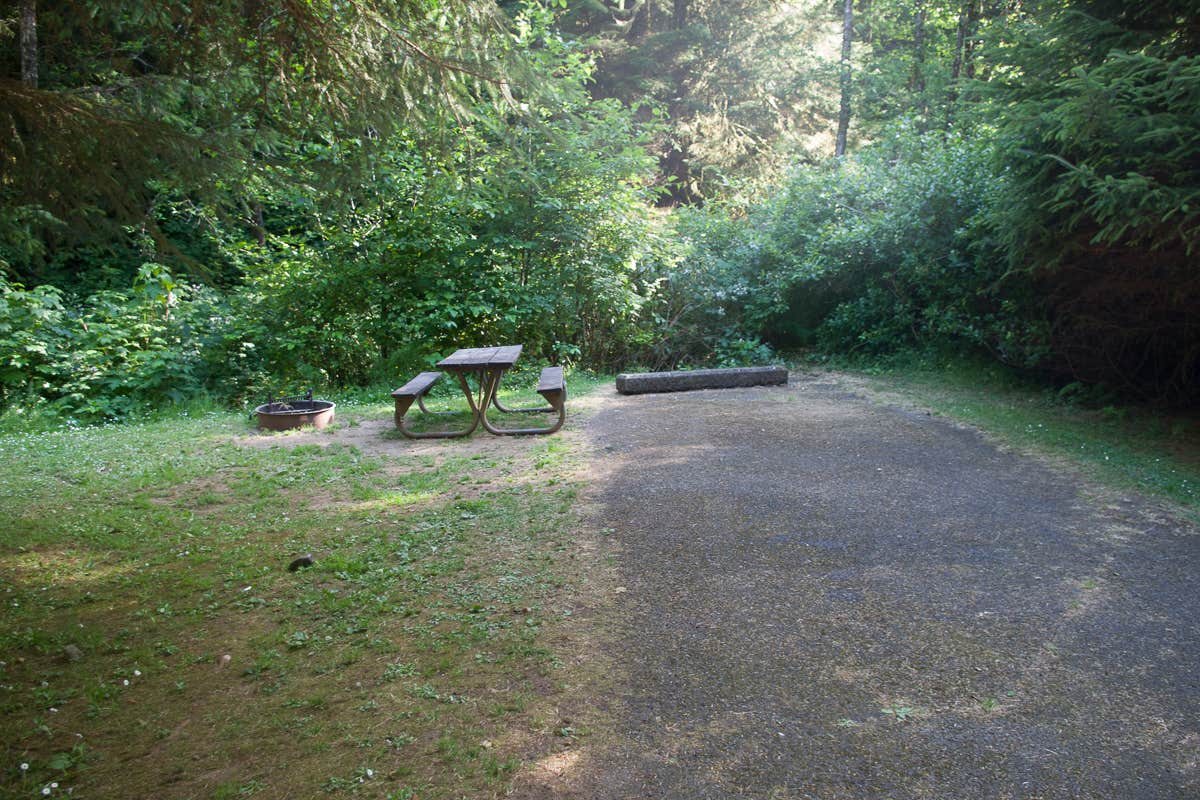 Camper submitted image from Cape Perpetua - 4