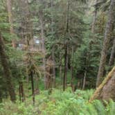 Review photo of Pyrites Creek — Olympic National Park by Rich M., September 6, 2019