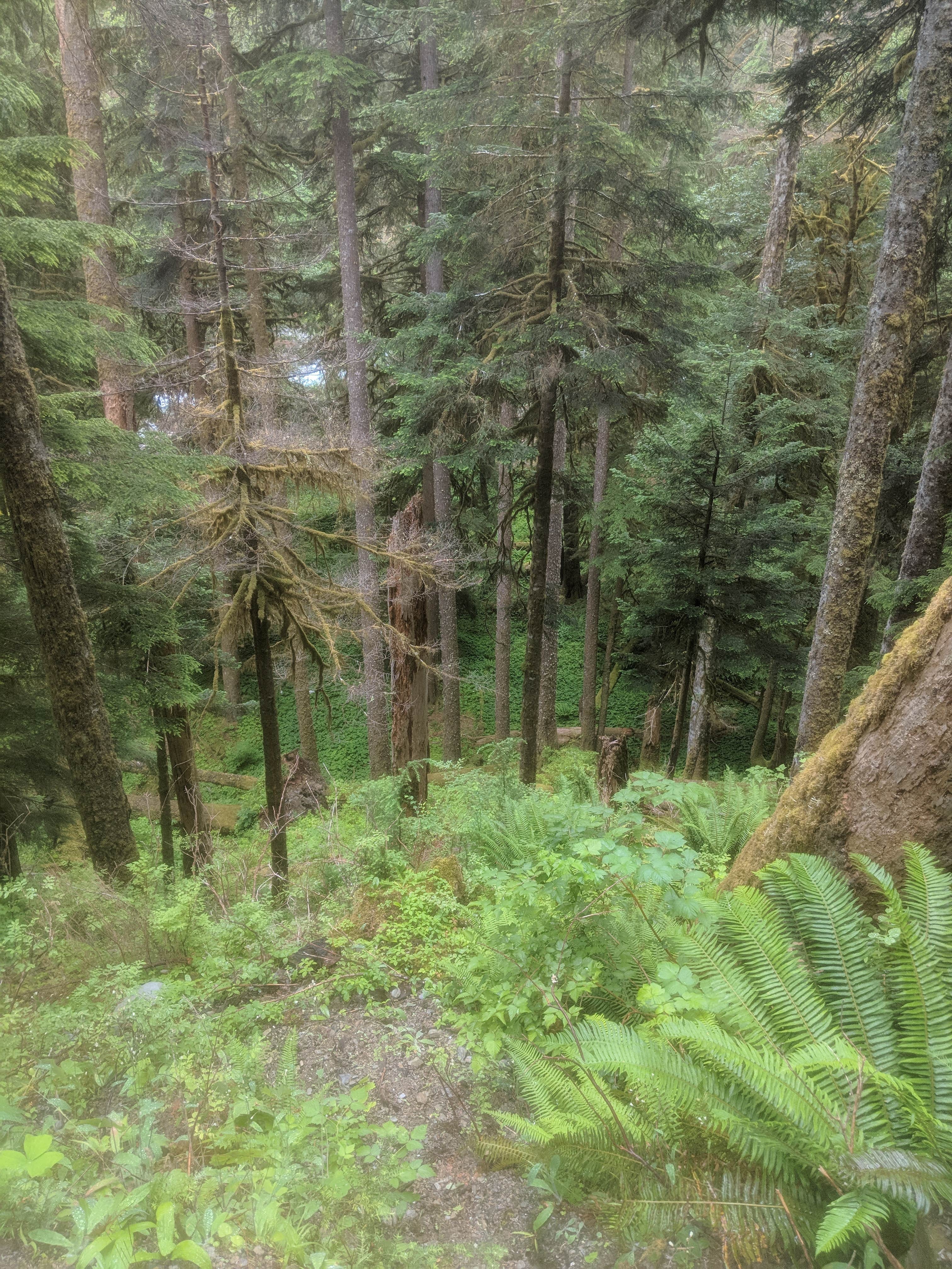 Nature