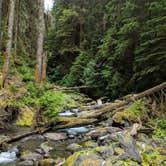 Review photo of Pyrites Creek — Olympic National Park by Rich M., September 6, 2019