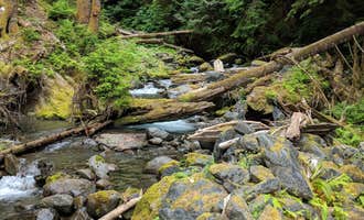 Camping near Enchanted Valley — Olympic National Park: Pyrites Creek — Olympic National Park, Olympic National Forest, Washington