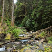 Review photo of Pyrites Creek by Rich M., September 6, 2019