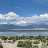 Review photo of Pinon Flats Campground — Great Sand Dunes National Park by Justin C., September 6, 2019