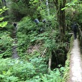 Review photo of Enchanted Valley — Olympic National Park by Rich M., September 6, 2019