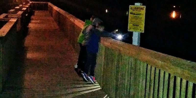 Camper submitted image from Myrtle Beach Travel Park