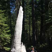 Review photo of Crater Lake Lodge — Crater Lake National Park by Becky R., September 6, 2019