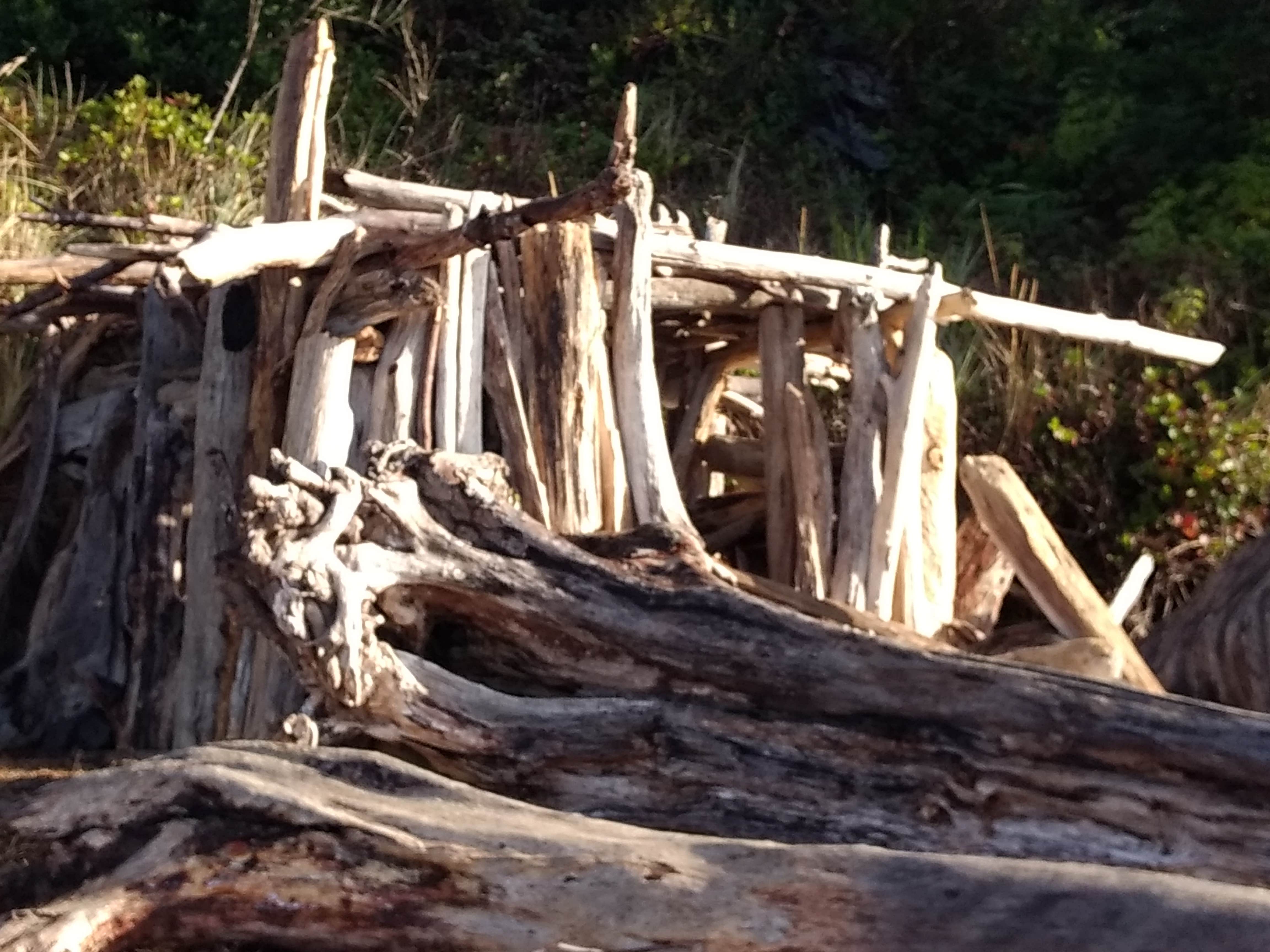 Camping near McKinley's Marina & RV Park: Waldport KOA, Waldport, Oregon