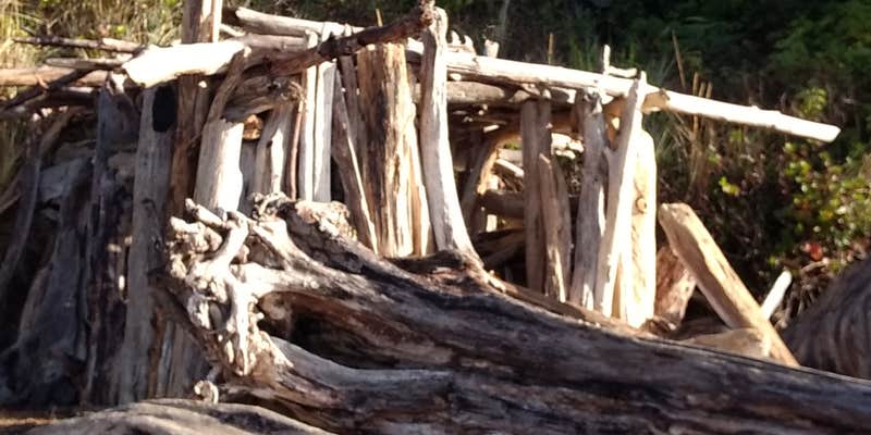 Camper submitted image from Waldport KOA