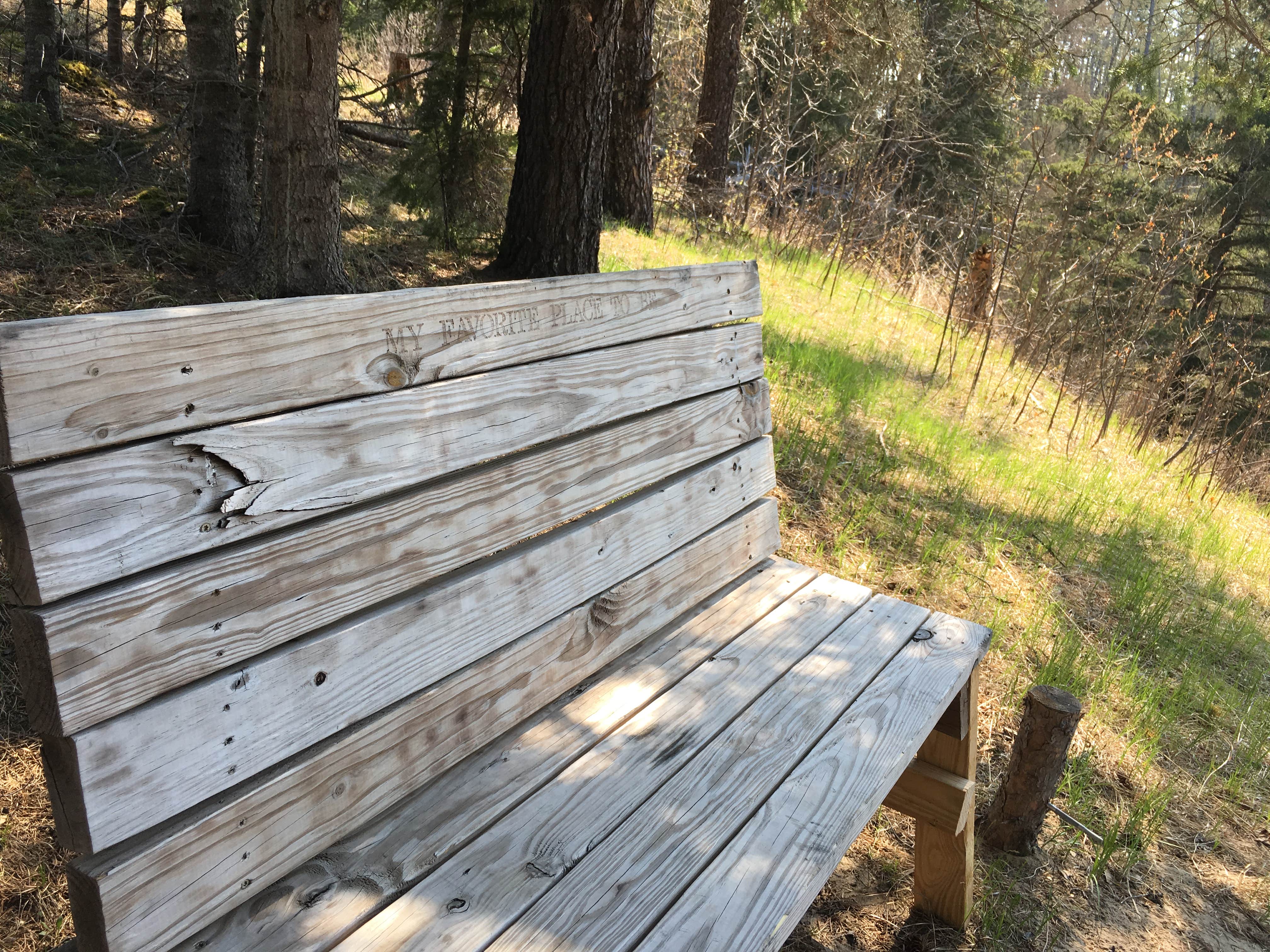 Camper-submitted photo at Stumphges Rapids Landing near Bemidji, MN